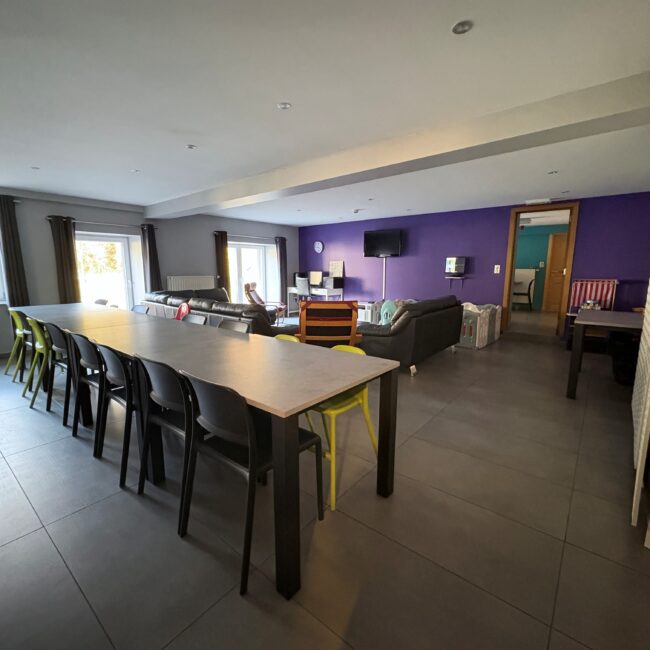 photo de la pièce de vie de la maison, un grand salon et une grande tablée